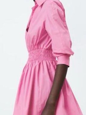 Zara Pink Shirred-Waist Shirt Dress